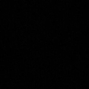 Meet your Posher, Alivia